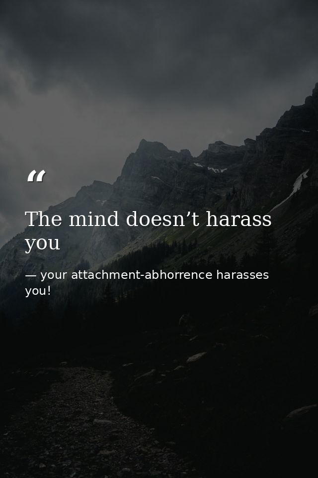 The mind doesn’t harass you — your attachment-abhorrence harasses you!