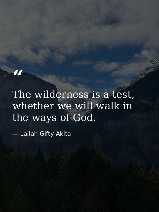 The wilderness is a test, whether we will walk in the ways of God. — Lailah Gifty Akita
