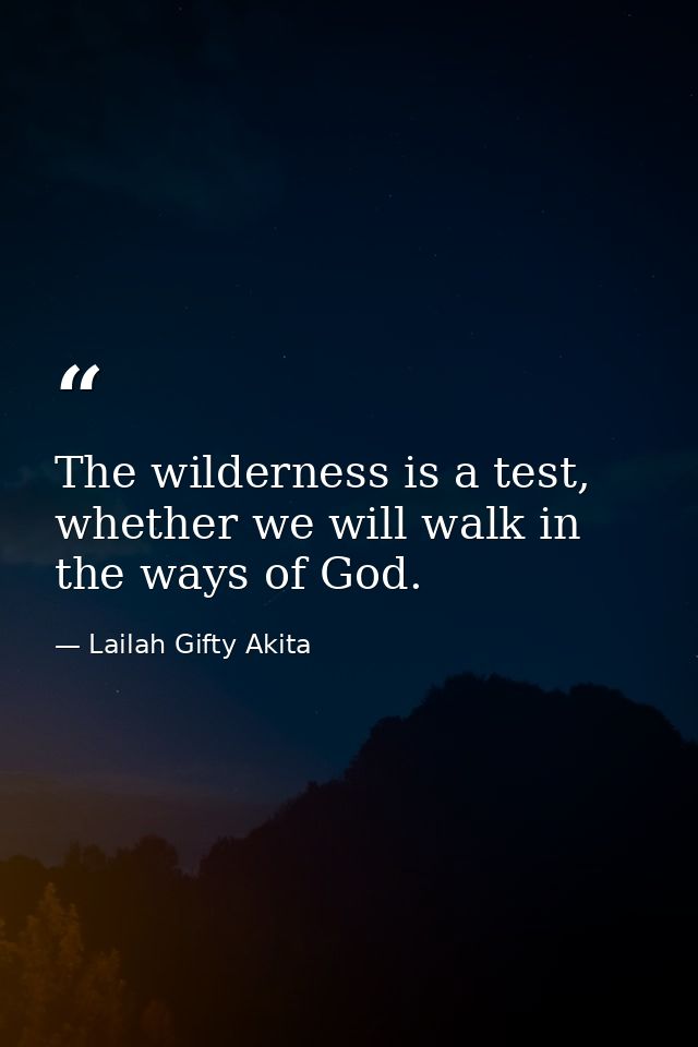 The wilderness is a test, whether we will walk in the ways of God. — Lailah Gifty Akita