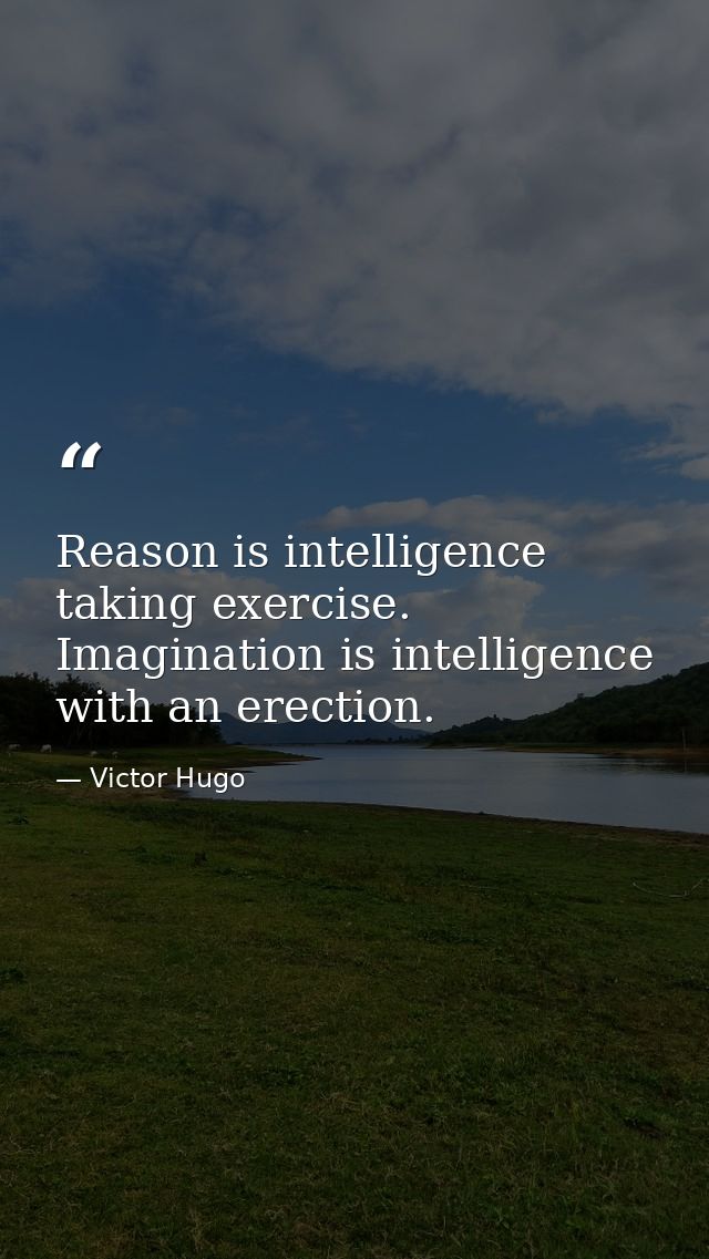 Reason is intelligence taking exercise. Imagination is intelligence with an erection. — Victor Hugo