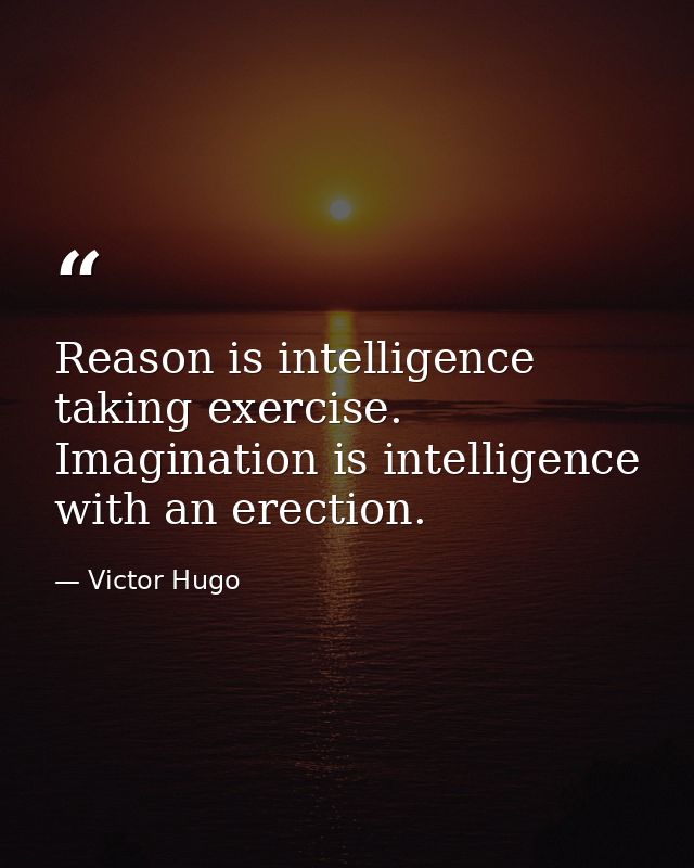 Reason is intelligence taking exercise. Imagination is intelligence with an erection. — Victor Hugo