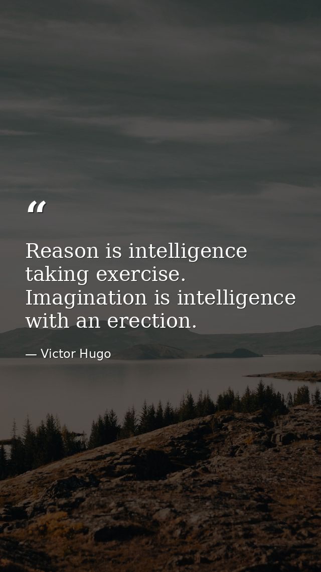 Reason is intelligence taking exercise. Imagination is intelligence with an erection. — Victor Hugo