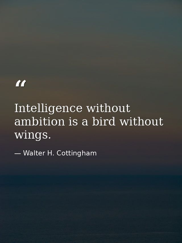 Intelligence without ambition is a bird without wings. — Walter H. Cottingham
