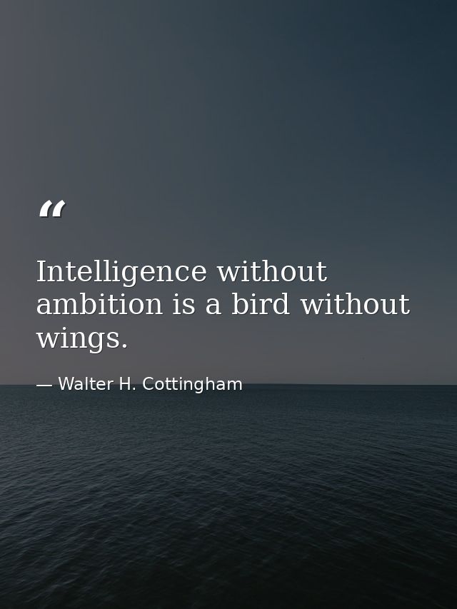 Intelligence without ambition is a bird without wings. — Walter H. Cottingham