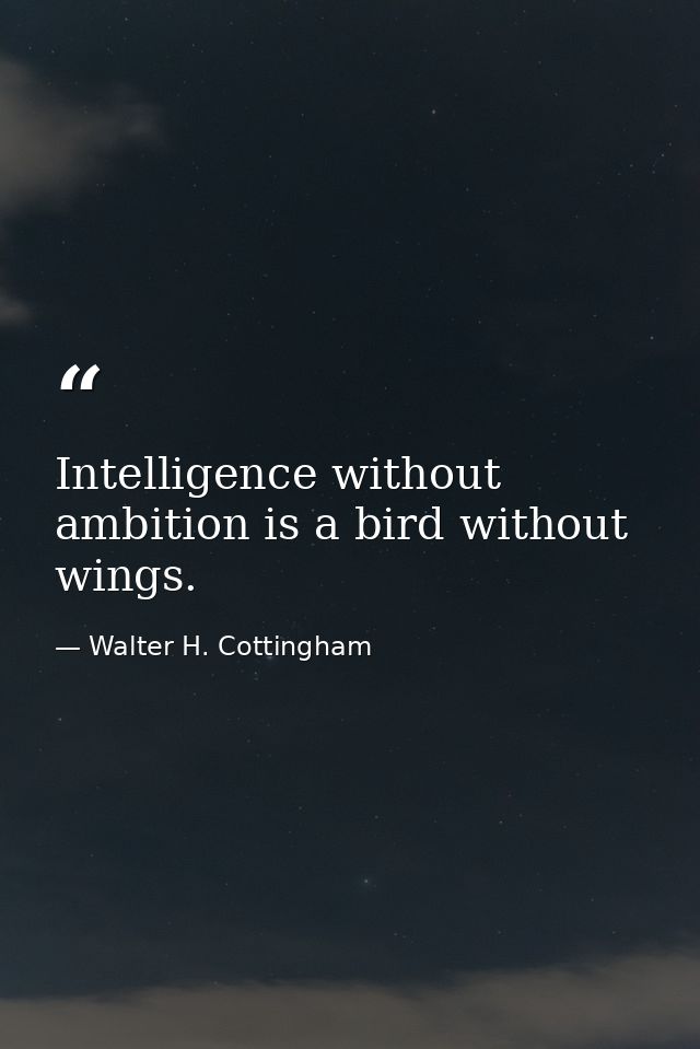 Intelligence without ambition is a bird without wings. — Walter H. Cottingham
