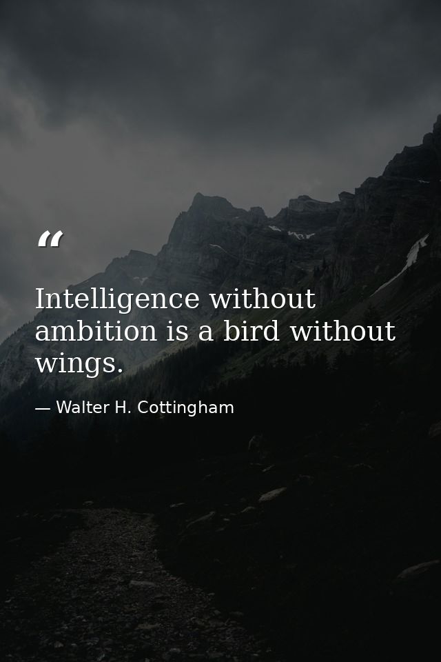 Intelligence without ambition is a bird without wings. — Walter H. Cottingham