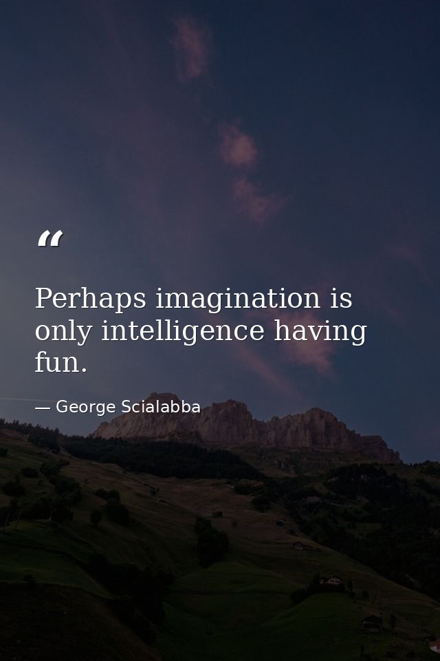Perhaps imagination is only intelligence having fun. — George Scialabba