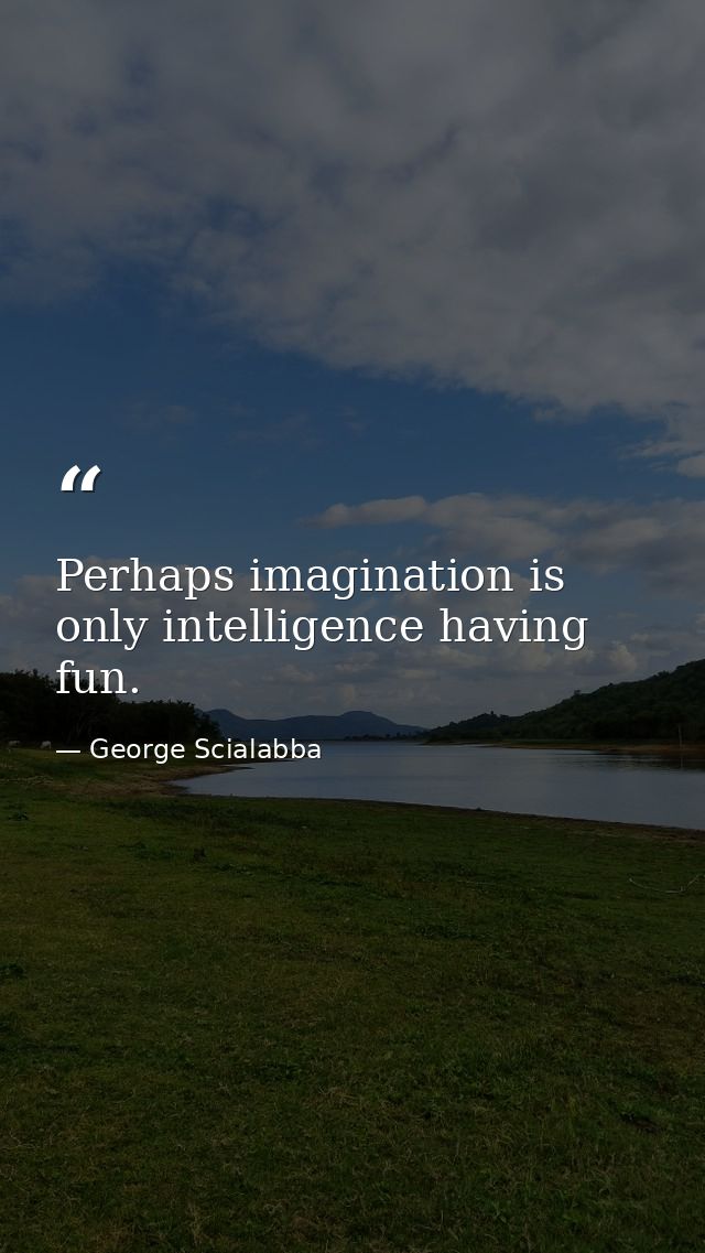 Perhaps imagination is only intelligence having fun. — George Scialabba