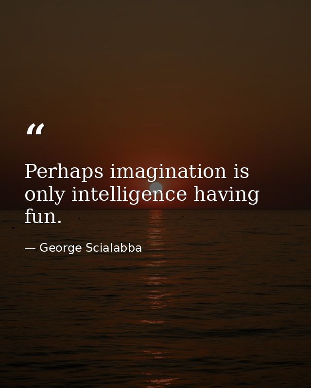 Perhaps imagination is only intelligence having fun. — George Scialabba