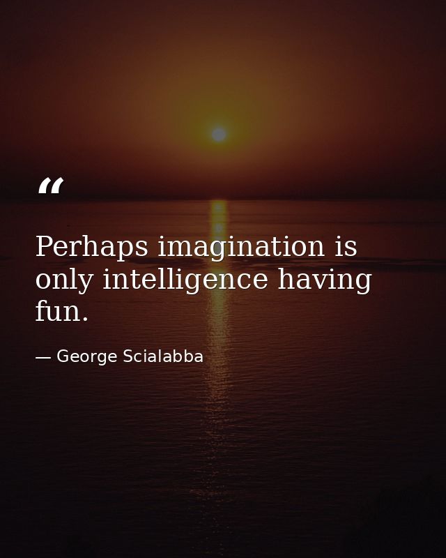 Perhaps imagination is only intelligence having fun. — George Scialabba