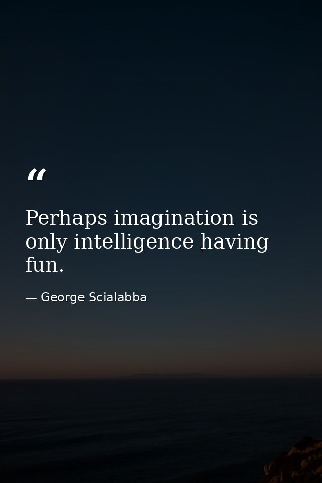 Perhaps imagination is only intelligence having fun. — George Scialabba