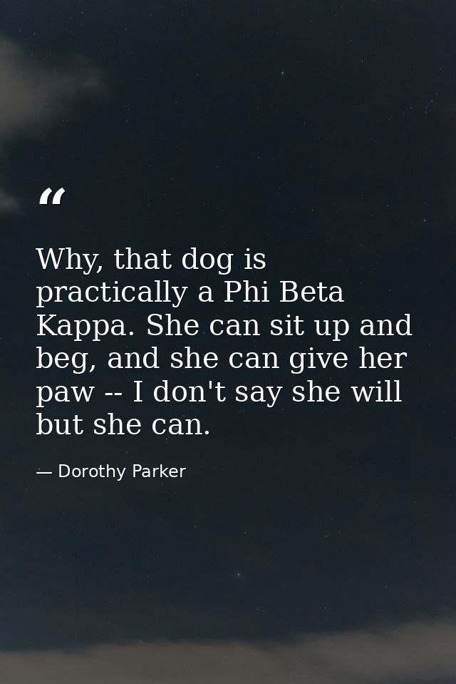 Why, that dog is practically a Phi Beta Kappa. She can sit up and beg, and she can give her paw -- I don't say she will  — Dorothy Parker