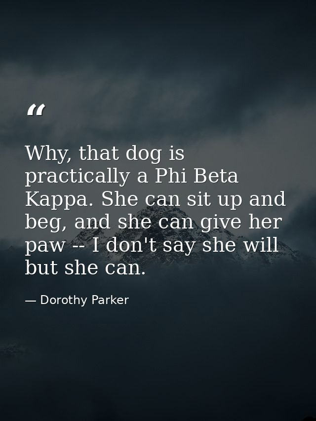 Why, that dog is practically a Phi Beta Kappa. She can sit up and beg, and she can give her paw -- I don't say she will  — Dorothy Parker
