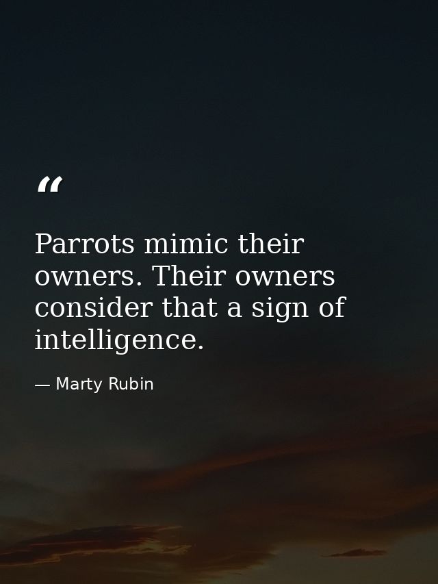 Parrots mimic their owners. Their owners consider that a sign of intelligence. — Marty Rubin