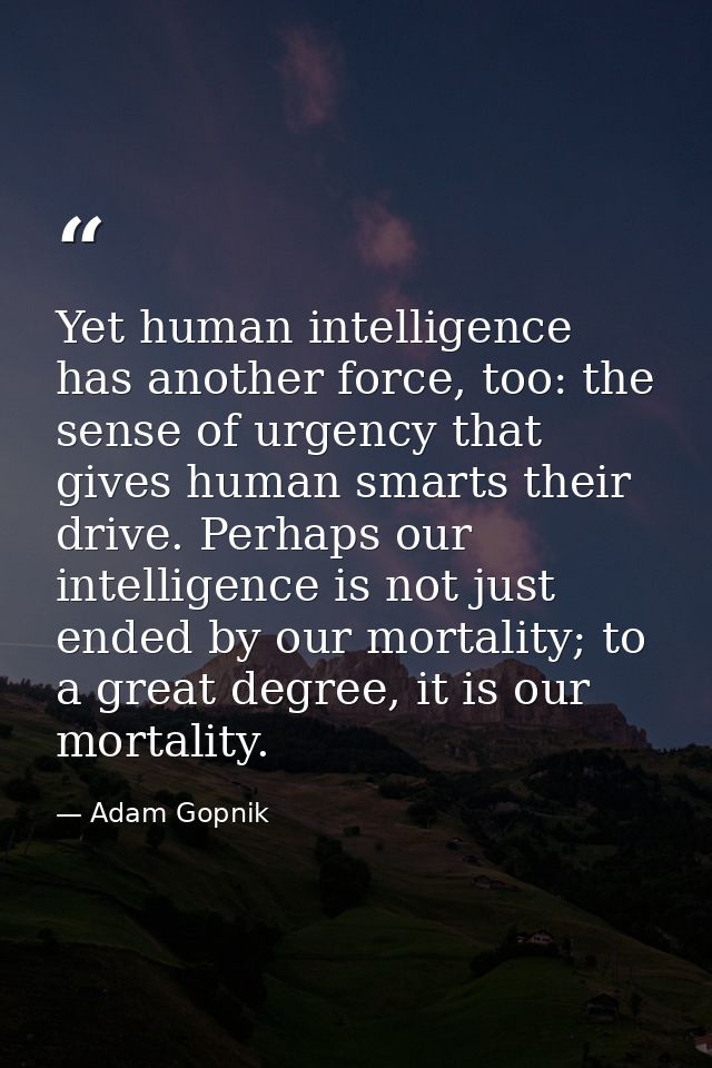 Yet human intelligence has another force, too: the sense of urgency that gives human smarts their drive. Perhaps our int — Adam Gopnik