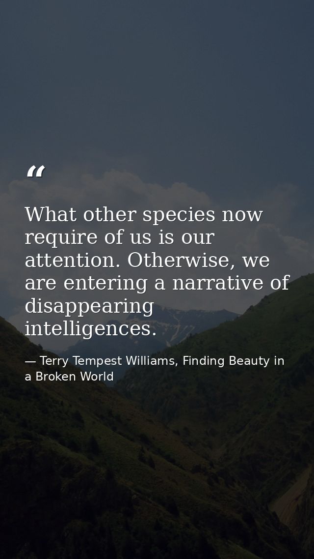 What other species now require of us is our attention. Otherwise, we are entering a narrative of disappearing intelligen — Terry Tempest Williams, Finding Beauty in a Broken World