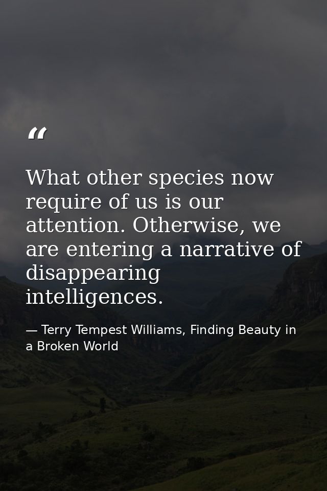 What other species now require of us is our attention. Otherwise, we are entering a narrative of disappearing intelligen — Terry Tempest Williams, Finding Beauty in a Broken World