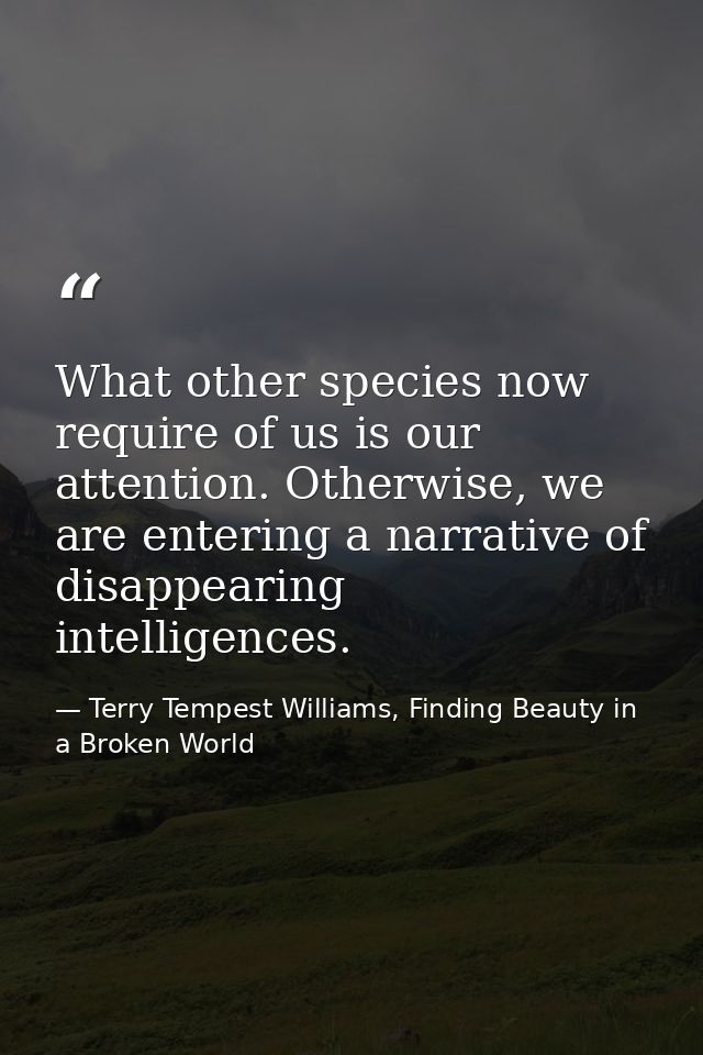 What other species now require of us is our attention. Otherwise, we are entering a narrative of disappearing intelligen — Terry Tempest Williams, Finding Beauty in a Broken World