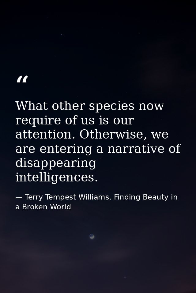 What other species now require of us is our attention. Otherwise, we are entering a narrative of disappearing intelligen — Terry Tempest Williams, Finding Beauty in a Broken World