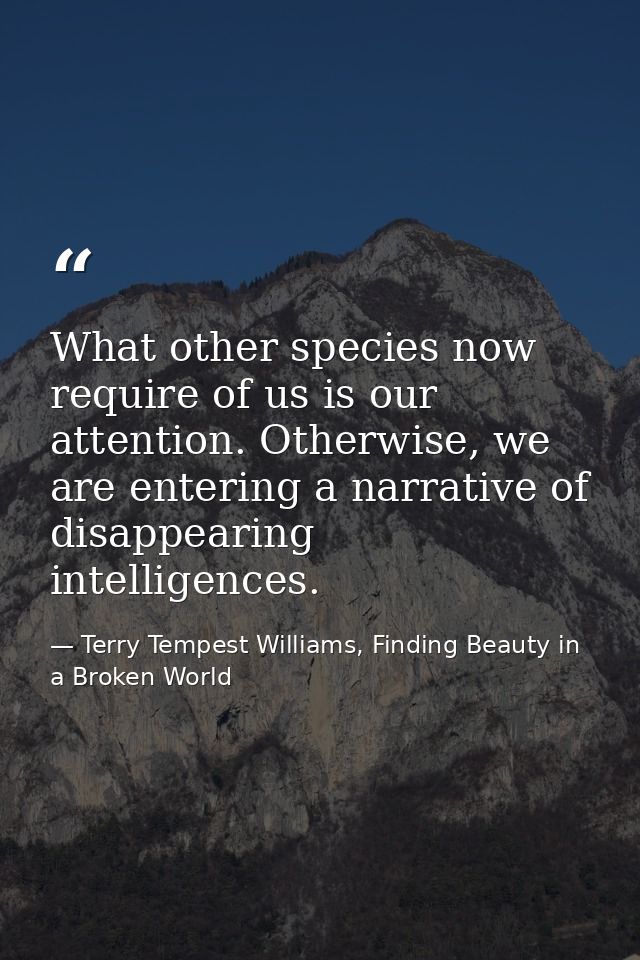 What other species now require of us is our attention. Otherwise, we are entering a narrative of disappearing intelligen — Terry Tempest Williams, Finding Beauty in a Broken World