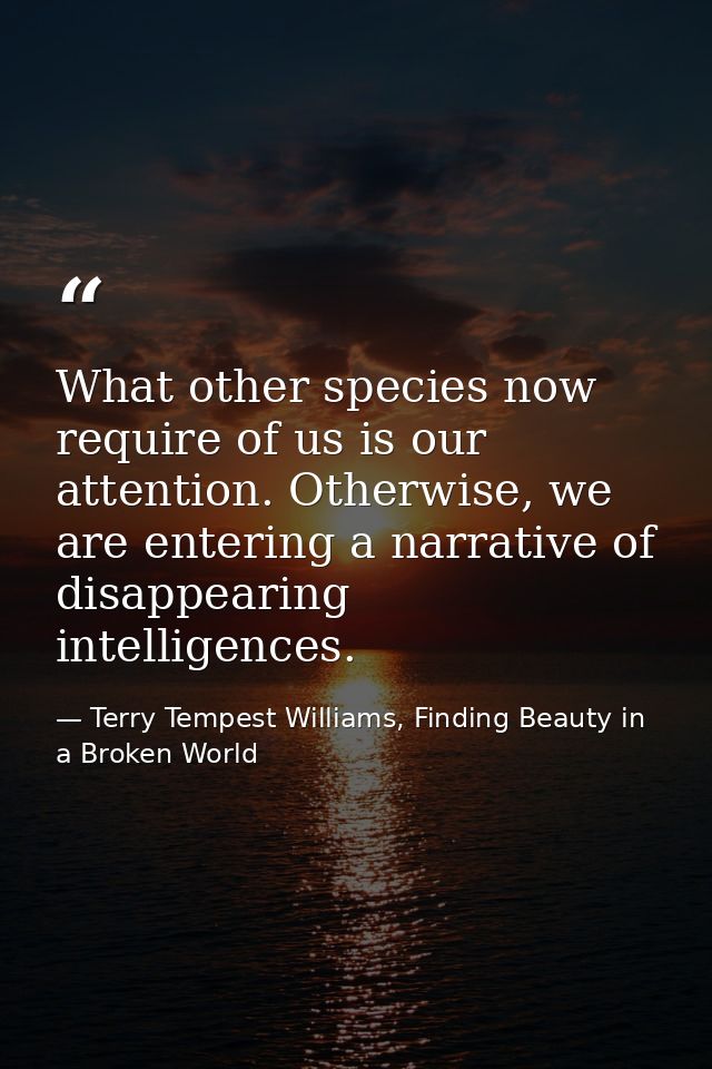 What other species now require of us is our attention. Otherwise, we are entering a narrative of disappearing intelligen — Terry Tempest Williams, Finding Beauty in a Broken World