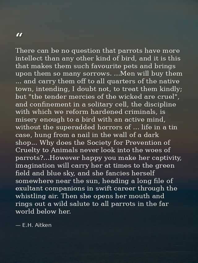 There can be no question that parrots have more intellect than any other kind of bird, and it is this that makes them su — E.H. Aitken
