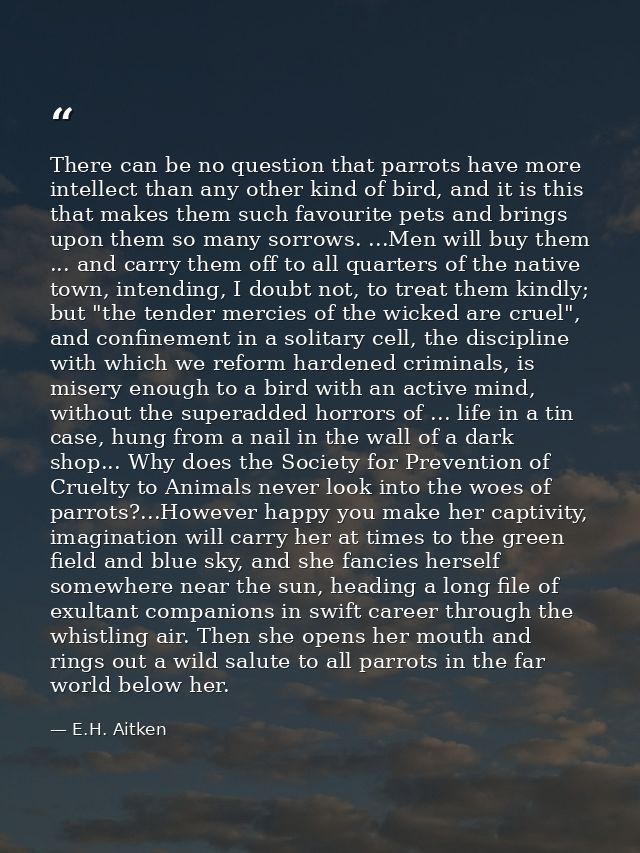 There can be no question that parrots have more intellect than any other kind of bird, and it is this that makes them su — E.H. Aitken