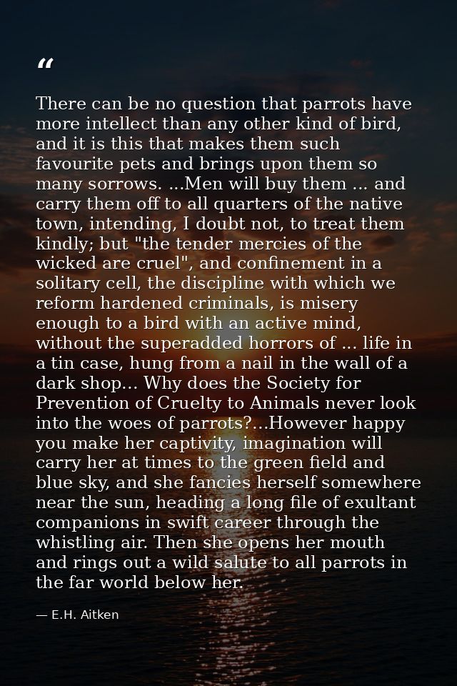 There can be no question that parrots have more intellect than any other kind of bird, and it is this that makes them su — E.H. Aitken