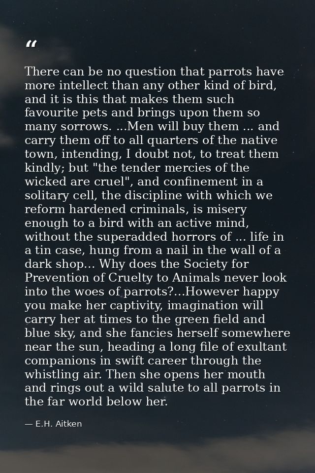 There can be no question that parrots have more intellect than any other kind of bird, and it is this that makes them su — E.H. Aitken