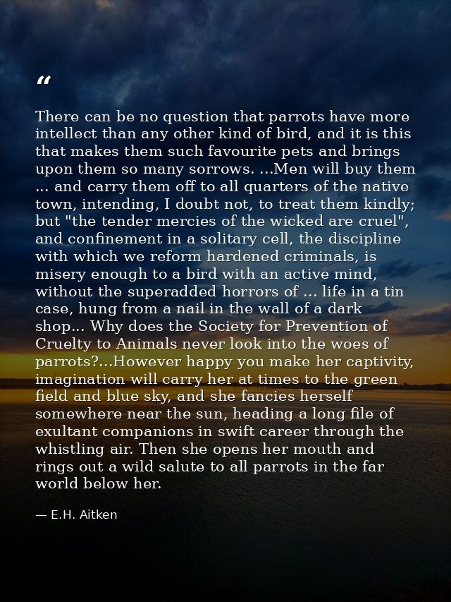 There can be no question that parrots have more intellect than any other kind of bird, and it is this that makes them su — E.H. Aitken