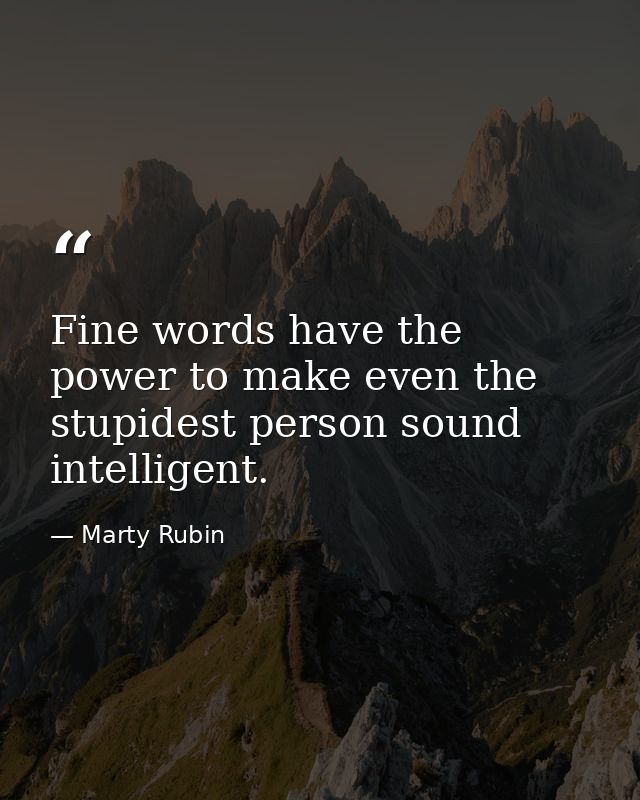 Fine words have the power to make even the stupidest person sound intelligent. — Marty Rubin