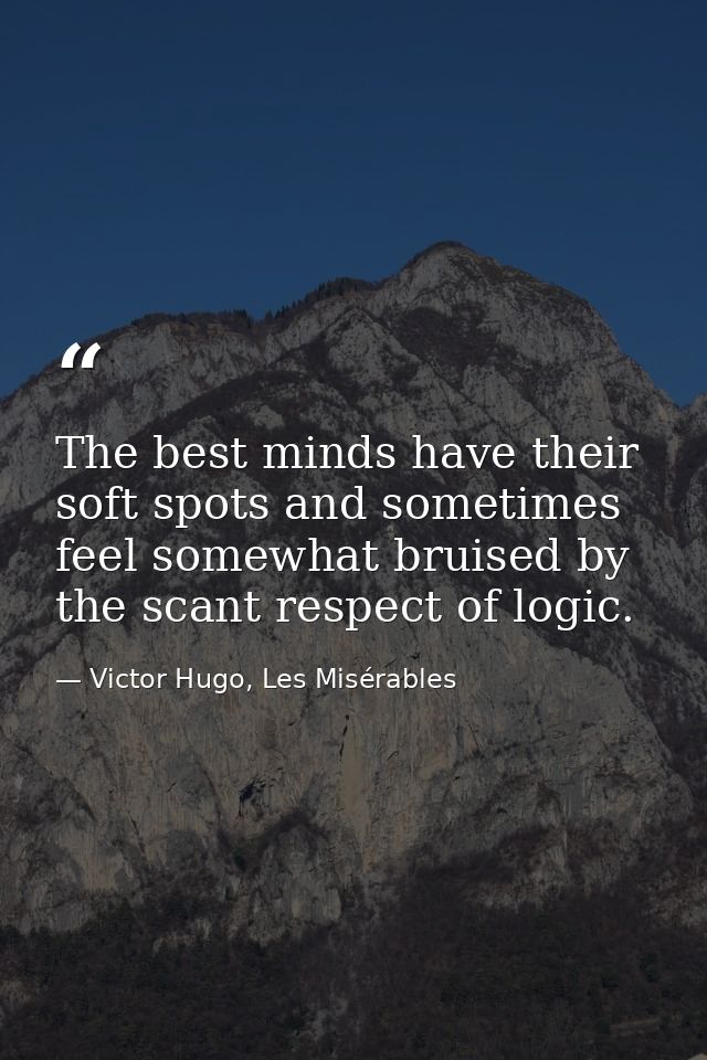 The best minds have their soft spots and sometimes feel somewhat bruised by the scant respect of logic. — Victor Hugo, Les Misérables