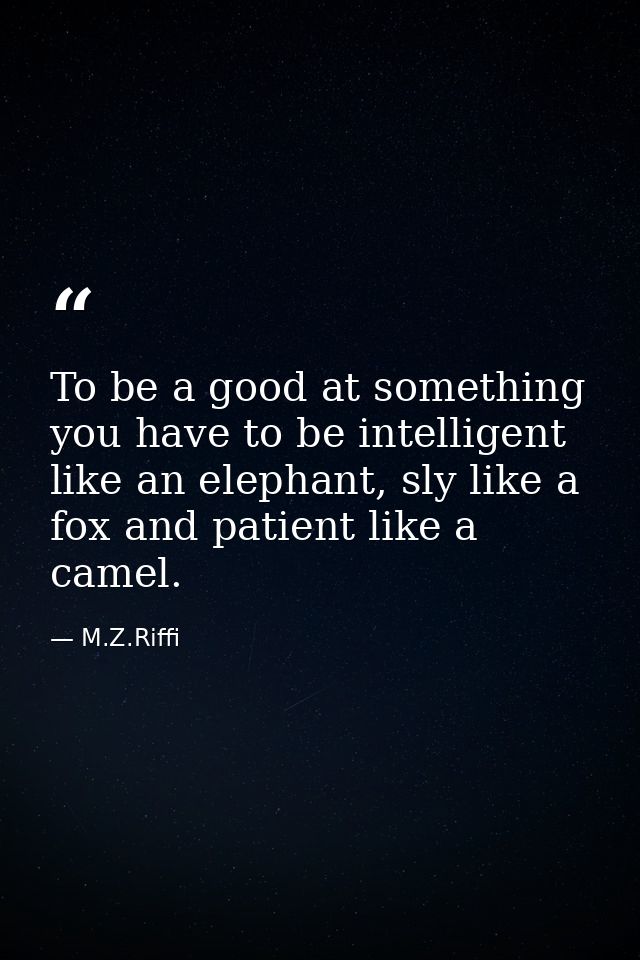 To be a good at something you have to be intelligent like an elephant, sly like a fox and patient like a camel. — M.Z.Riffi