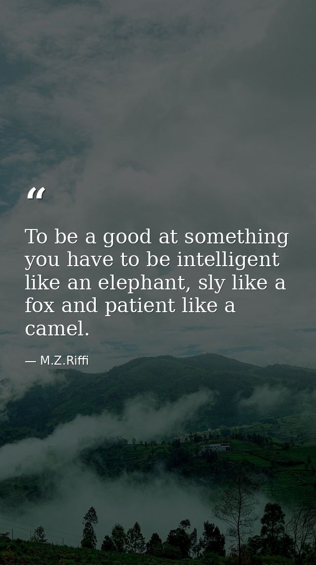 To be a good at something you have to be intelligent like an elephant, sly like a fox and patient like a camel. — M.Z.Riffi