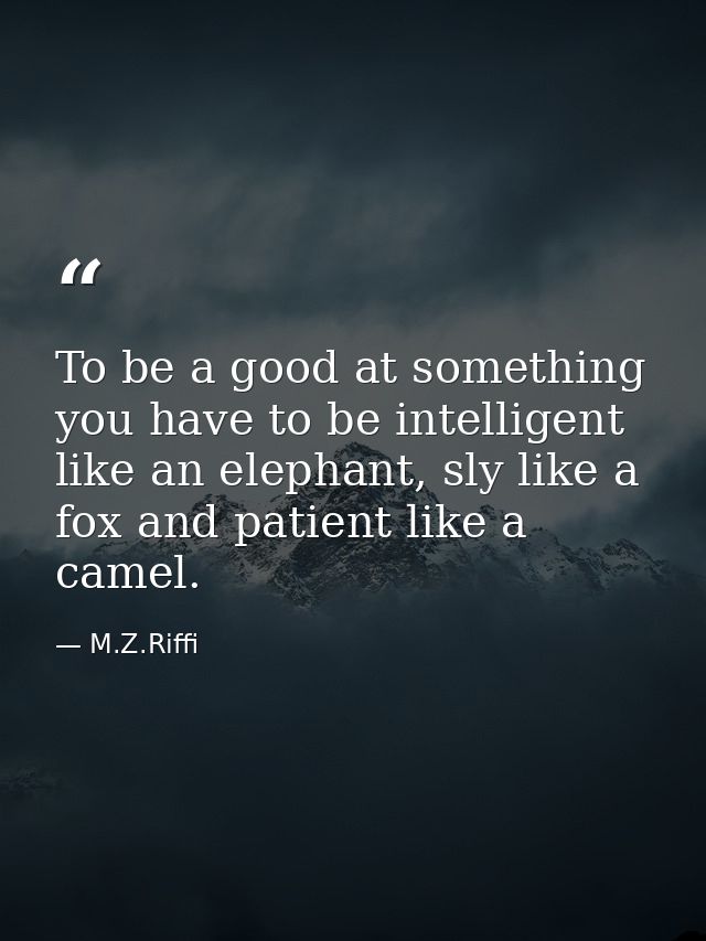 To be a good at something you have to be intelligent like an elephant, sly like a fox and patient like a camel. — M.Z.Riffi
