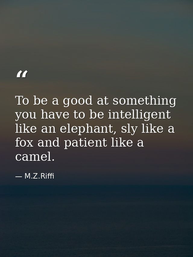 To be a good at something you have to be intelligent like an elephant, sly like a fox and patient like a camel. — M.Z.Riffi