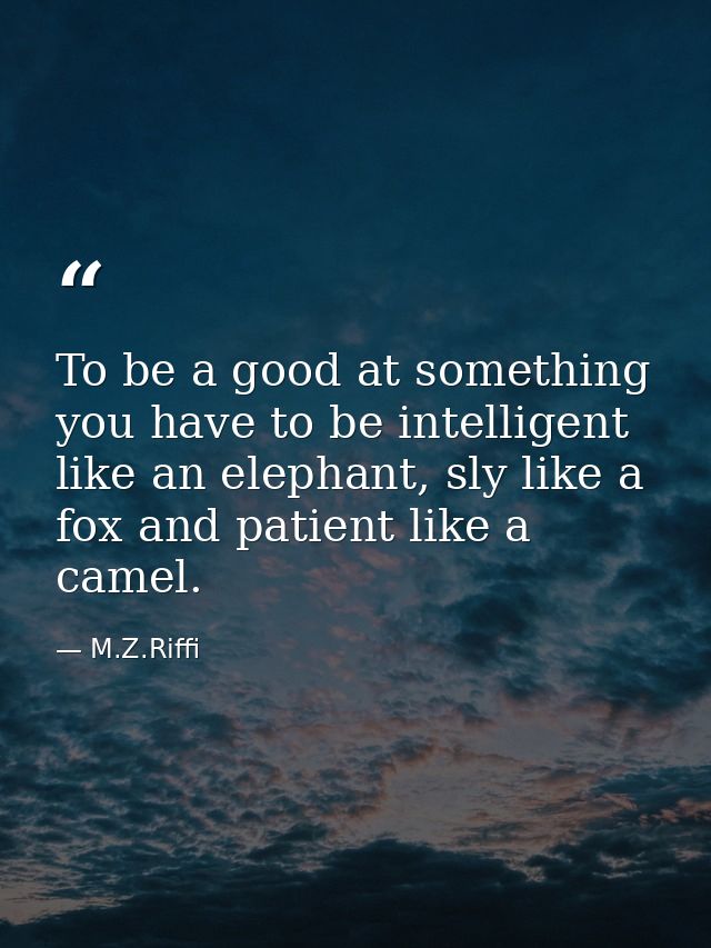 To be a good at something you have to be intelligent like an elephant, sly like a fox and patient like a camel. — M.Z.Riffi