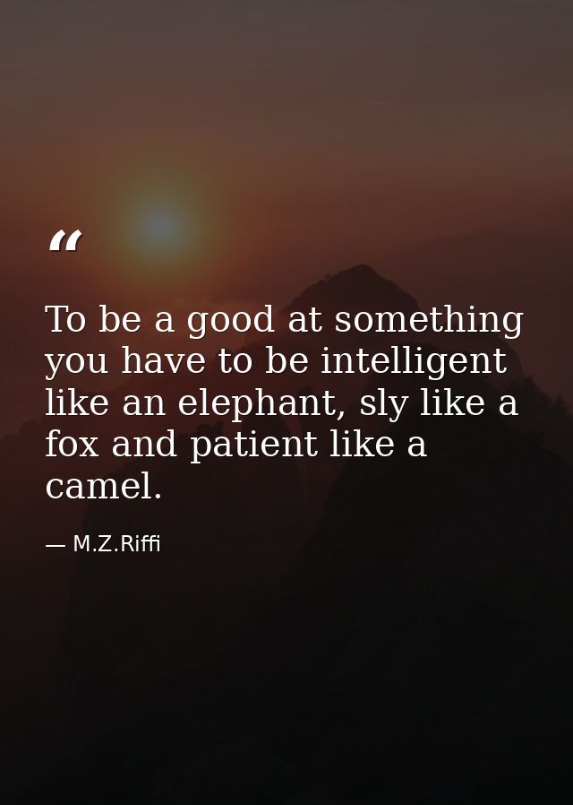 To be a good at something you have to be intelligent like an elephant, sly like a fox and patient like a camel. — M.Z.Riffi