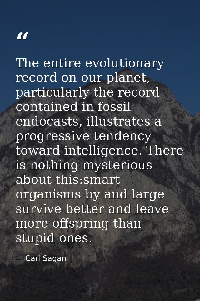 The entire evolutionary record on our planet, particularly the record contained in fossil endocasts, illustrates a progr — Carl Sagan