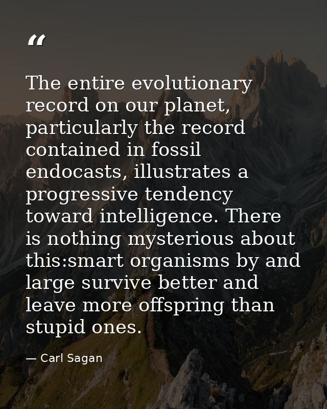 The entire evolutionary record on our planet, particularly the record contained in fossil endocasts, illustrates a progr — Carl Sagan