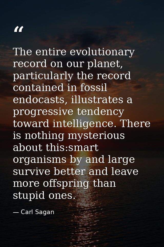 The entire evolutionary record on our planet, particularly the record contained in fossil endocasts, illustrates a progr — Carl Sagan