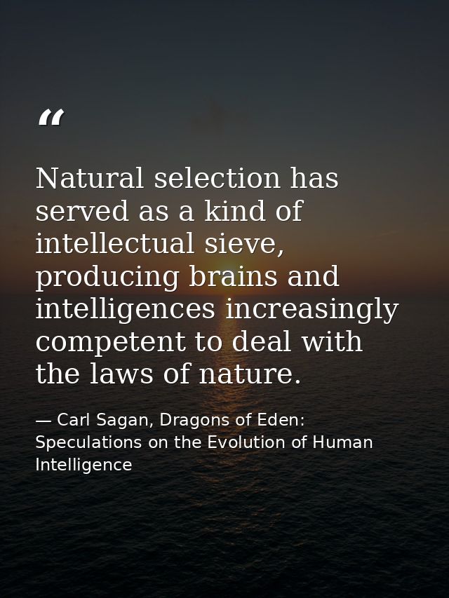 Natural selection has served as a kind of intellectual sieve, producing brains and intelligences increasingly competent  — Carl Sagan, Dragons of Eden: Speculations on the Evolution of Human Intelligence