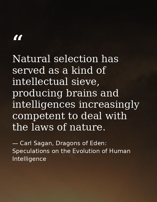 Natural selection has served as a kind of intellectual sieve, producing brains and intelligences increasingly competent  — Carl Sagan, Dragons of Eden: Speculations on the Evolution of Human Intelligence