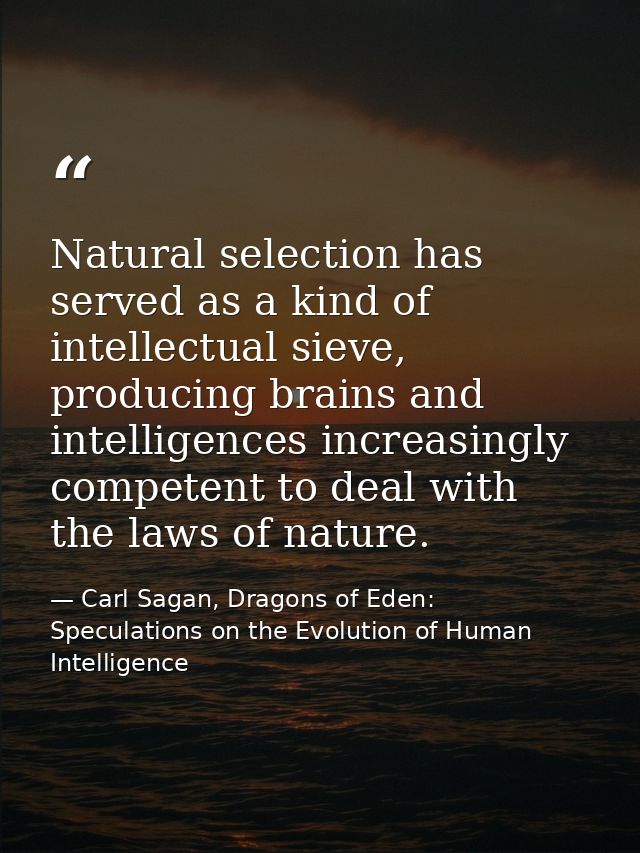 Natural selection has served as a kind of intellectual sieve, producing brains and intelligences increasingly competent  — Carl Sagan, Dragons of Eden: Speculations on the Evolution of Human Intelligence