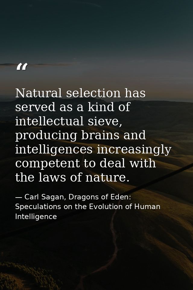 Natural selection has served as a kind of intellectual sieve, producing brains and intelligences increasingly competent  — Carl Sagan, Dragons of Eden: Speculations on the Evolution of Human Intelligence