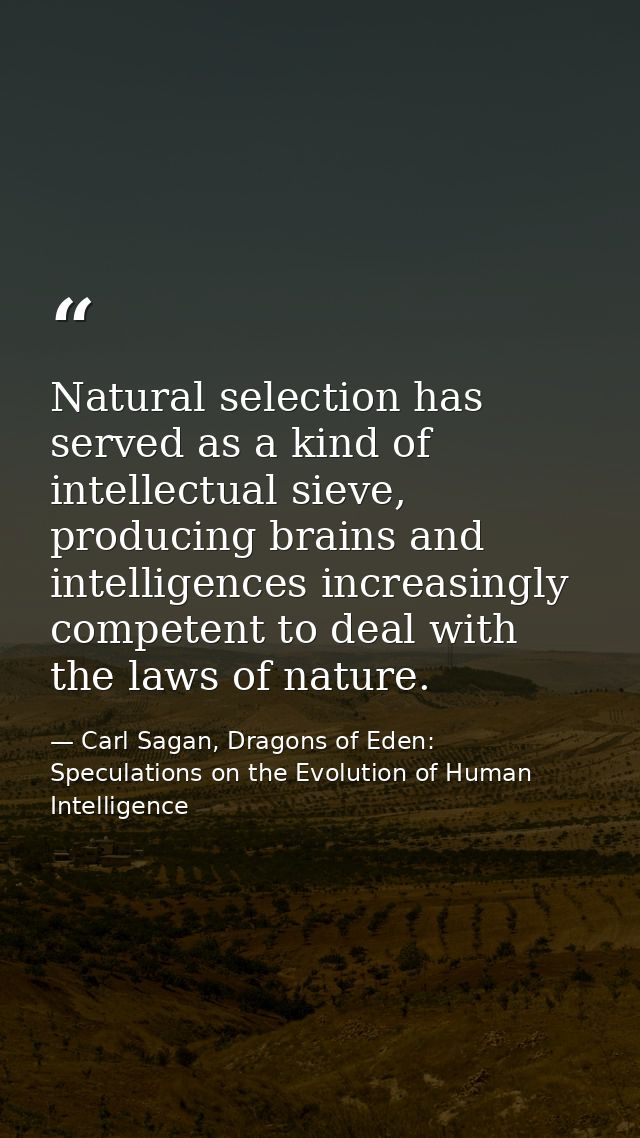 Natural selection has served as a kind of intellectual sieve, producing brains and intelligences increasingly competent  — Carl Sagan, Dragons of Eden: Speculations on the Evolution of Human Intelligence