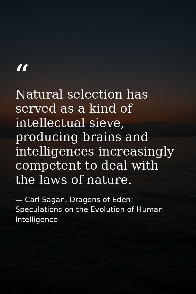 Natural selection has served as a kind of intellectual sieve, producing brains and intelligences increasingly competent  — Carl Sagan, Dragons of Eden: Speculations on the Evolution of Human Intelligence
