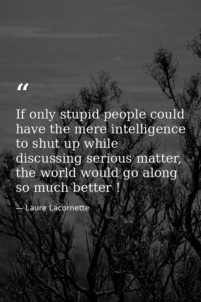 If only stupid people could have the mere intelligence to shut up while discussing serious matter, the world would go al — Laure Lacornette