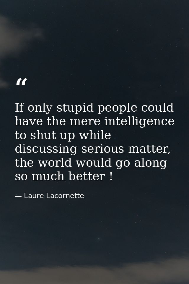 If only stupid people could have the mere intelligence to shut up while discussing serious matter, the world would go al — Laure Lacornette
