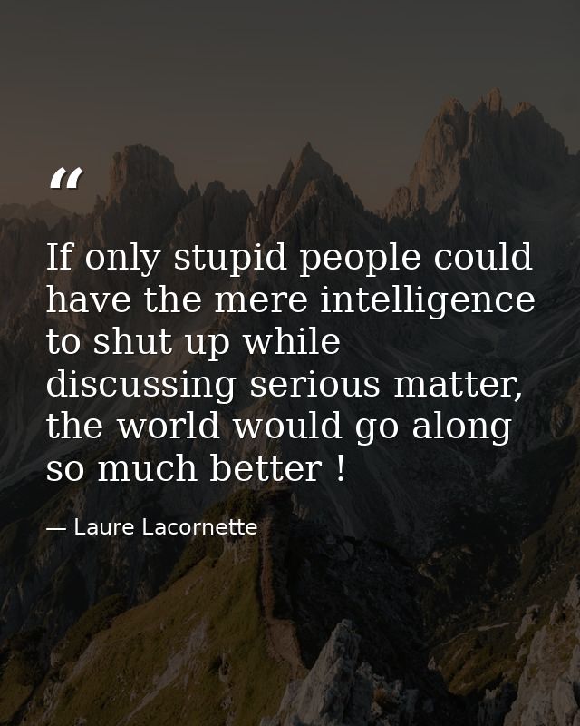 If only stupid people could have the mere intelligence to shut up while discussing serious matter, the world would go al — Laure Lacornette
